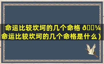 命运比较坎坷的几个命格 🌼 （命运比较坎坷的几个命格是什么）